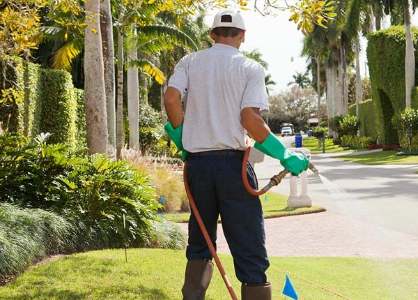 About Dolan Springs AZ Pest Control Pros